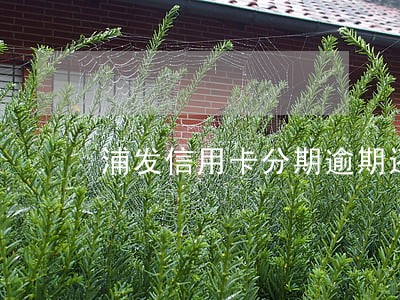 浦发信用卡分期逾期还款怎么还