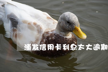 浦发信用卡利息太大逾期 浦发信用卡利息太大逾期