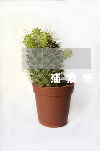 浦发信用卡加万用金3w逾期了 浦发信用卡加万用金3w逾期了
