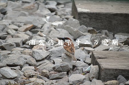 浦发信用卡十二万逾期 浦发信用卡十二万逾期
