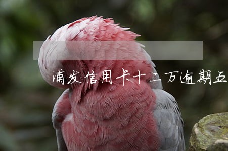 浦发信用卡十二万逾期五年上海 浦发信用卡十二万逾期五年上海