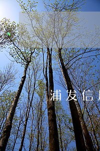 浦发信用卡十块钱逾期了 浦发信用卡十块钱逾期了