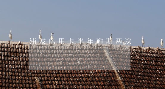 浦发信用卡半年逾期两次 浦发信用卡半年逾期两次