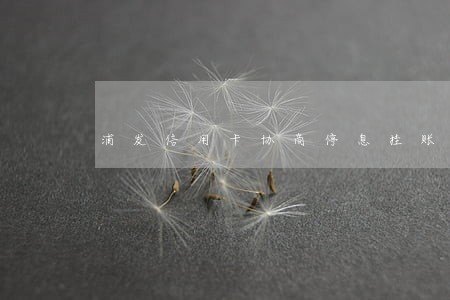 浦发信用卡协商停息挂账逾期2天 浦发信用卡协商停息挂账逾期2天