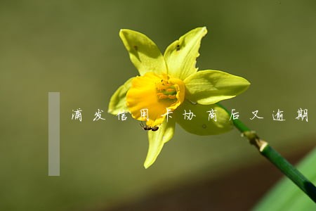 浦发信用卡协商后又逾期了