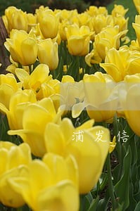 浦发信用卡协商后逾期15天 浦发信用卡协商后逾期15天