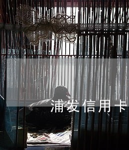 浦发信用卡只还本金利息多久清零 浦发信用卡只还本金利息多久清零