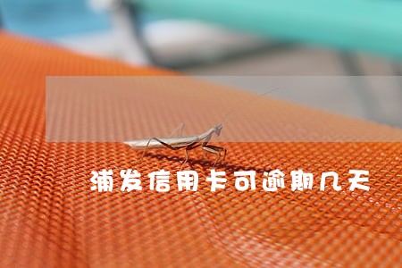 浦发信用卡可逾期几天 浦发信用卡可逾期几天