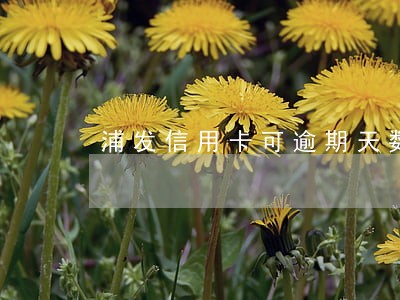 浦发信用卡可逾期天数