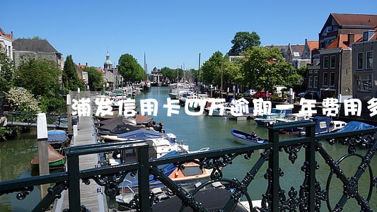 浦发信用卡四万逾期一年费用多少 浦发信用卡四万逾期一年费用多少