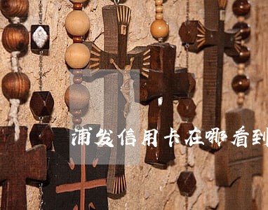 浦发信用卡在哪看到是否逾期 浦发信用卡在哪看到是否逾期