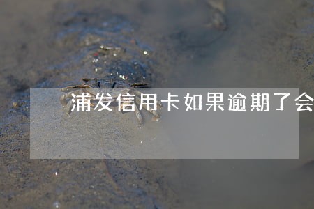 浦发信用卡如果逾期了会怎样