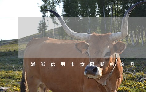 浦发信用卡宽限期后逾期一天