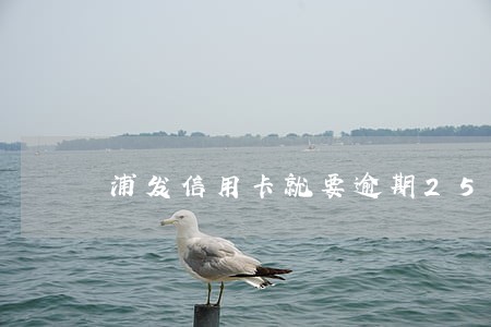 浦发信用卡就要逾期25万 浦发信用卡就要逾期25万
