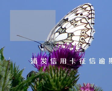 浦发信用卡征信逾期多久能消除 浦发信用卡征信逾期多久能消除