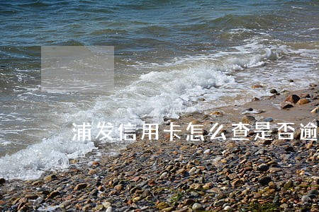 浦发信用卡怎么查是否逾期