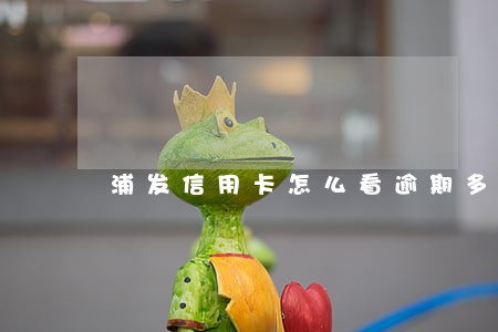 浦发信用卡怎么看逾期多久