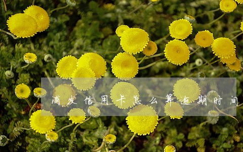 浦发信用卡怎么算逾期时间的 浦发信用卡怎么算逾期时间的