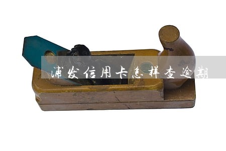 浦发信用卡怎样查逾期 浦发信用卡怎样查逾期