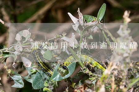 浦发信用卡收到逾期提醒 浦发信用卡收到逾期提醒