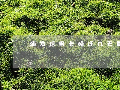浦发信用卡晚还几天算逾期
