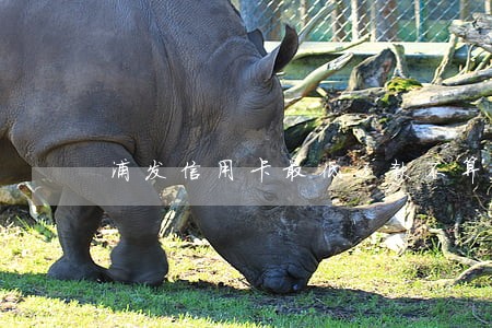 浦发信用卡最低还款不算逾期吧 浦发信用卡最低还款不算逾期吧