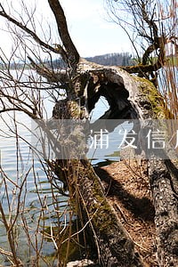 浦发信用卡有万用金逾期15天 浦发信用卡有万用金逾期15天