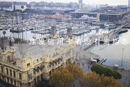 浦发信用卡有没有逾期怎么查询 浦发信用卡有没有逾期怎么查询