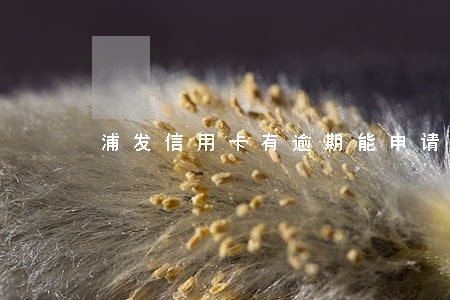 浦发信用卡有逾期能申请延期吗
