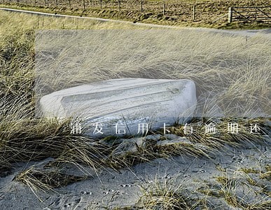 浦发信用卡有逾期还能办吗