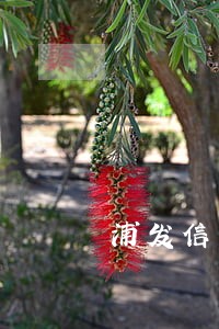 浦发信用卡未逾期可以协商吗 浦发信用卡未逾期可以协商吗