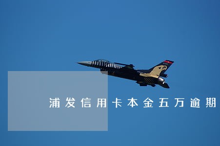 浦发信用卡本金五万逾期半年
