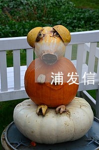 浦发信用卡查询逾期 浦发信用卡查询逾期