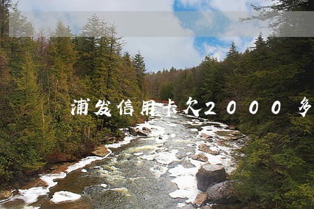 浦发信用卡欠2000多逾期两年