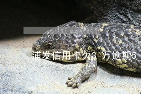 浦发信用卡欠3万逾期5个月 浦发信用卡欠3万逾期5个月