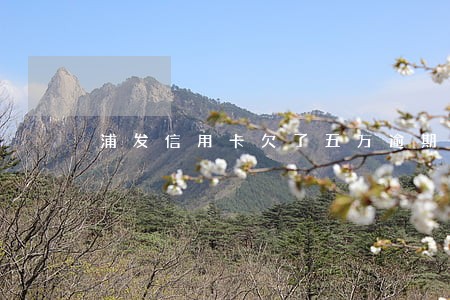 浦发信用卡欠了五万逾期一年了 浦发信用卡欠了五万逾期一年了