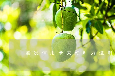 浦发信用卡欠款6万逾期90天 浦发信用卡欠款6万逾期90天