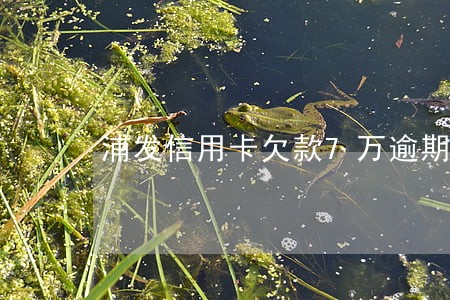 浦发信用卡欠款7万逾期半年 浦发信用卡欠款7万逾期半年
