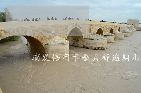 浦发信用卡每月都逾期几天 浦发信用卡每月都逾期几天