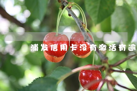 浦发信用卡没有激活有逾期吗 浦发信用卡没有激活有逾期吗