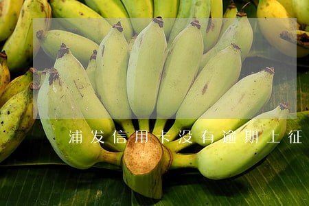 浦发信用卡没有逾期上征信吗 浦发信用卡没有逾期上征信吗