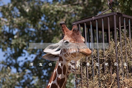 浦发信用卡没有逾期记录怎么办 浦发信用卡没有逾期记录怎么办