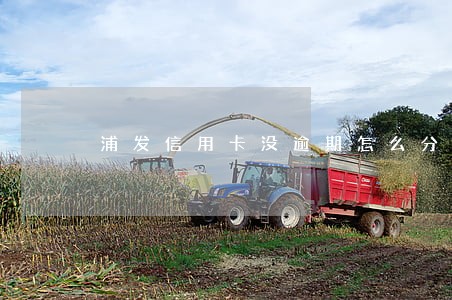浦发信用卡没逾期怎么分期不了 浦发信用卡没逾期怎么分期不了