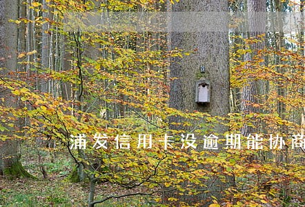 浦发信用卡没逾期能协商吗
