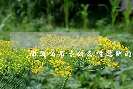 浦发信用卡的支付逾期的后果 浦发信用卡的支付逾期的后果