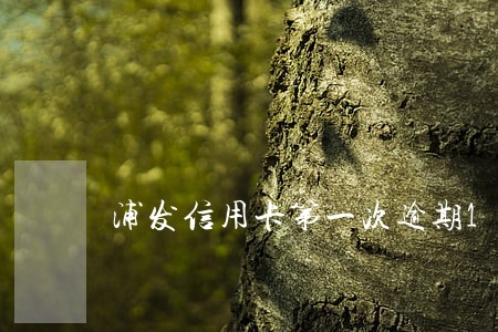 浦发信用卡第一次逾期15天 浦发信用卡第一次逾期15天