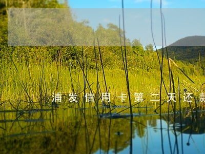 浦发信用卡第二天还款逾期 浦发信用卡第二天还款逾期