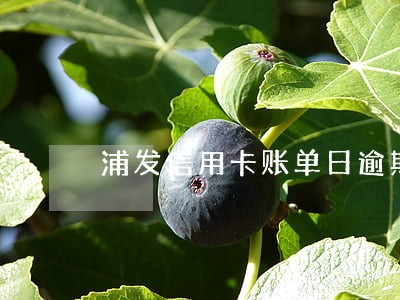 浦发信用卡账单日逾期 浦发信用卡账单日逾期