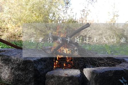 浦发信用卡超过几天叫逾期 浦发信用卡超过几天叫逾期