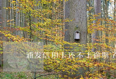 浦发信用卡还不上逾期了怎样办 浦发信用卡还不上逾期了怎样办